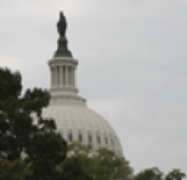 picture of u s capitol